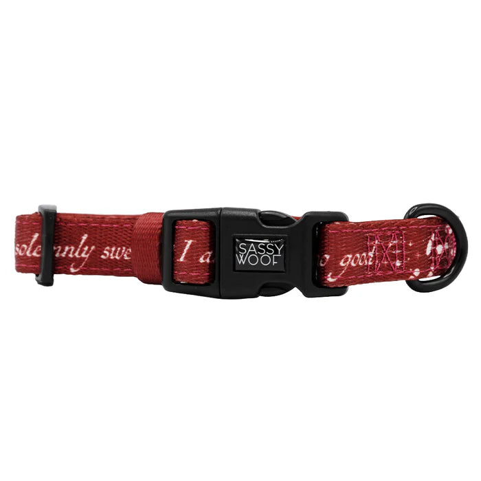 Harry Potter™ Marauder's Map™ - Modern Dog Collar