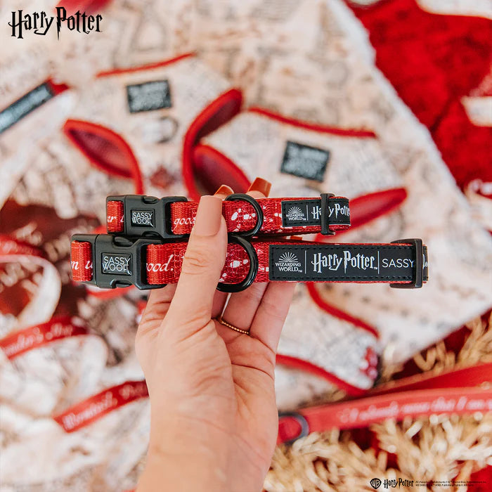 Harry Potter™ Marauder's Map™ - Modern Dog Collar