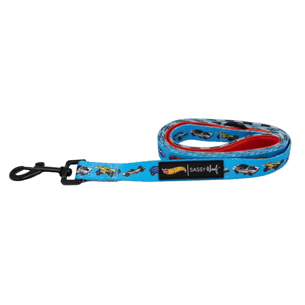 Hot Wheels™ - Modern Dog Leash