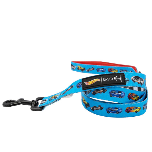 Hot Wheels™ - Modern Dog Leash