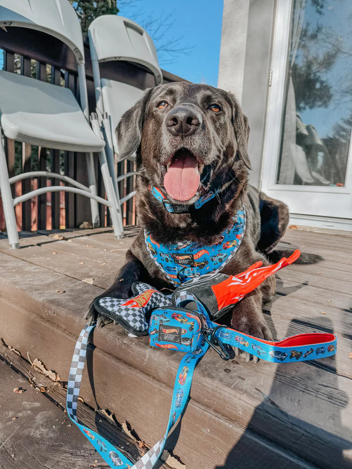 Hot Wheels™ - Modern Dog Waste Bag Holder