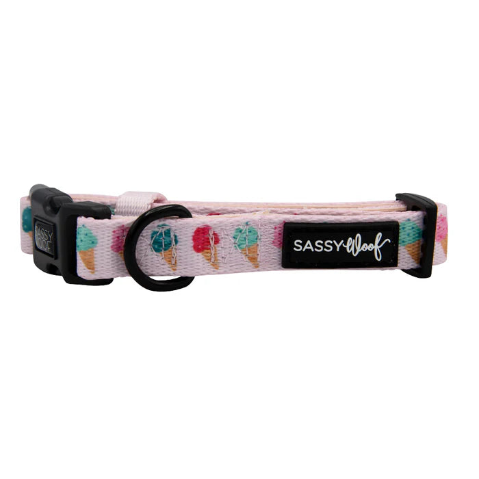 A Sprinkle of Sass - Modern Dog Collar