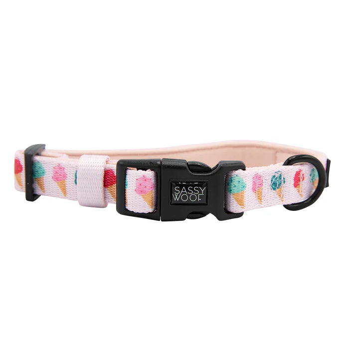 A Sprinkle of Sass - Modern Dog Collar