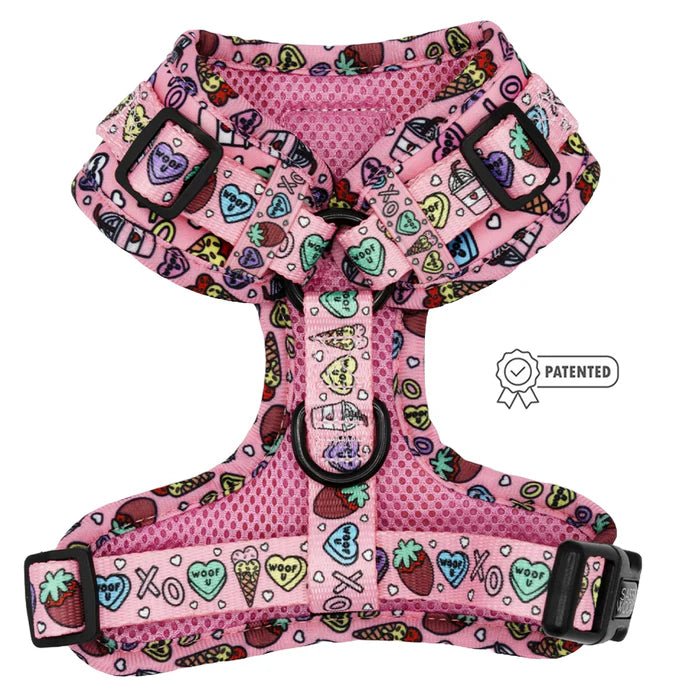 I Chews You - Modern Dog Adjustable Harness