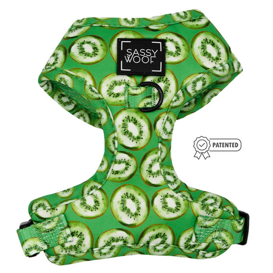 Kiwi Krazy - Modern Dog Adjustable Harness