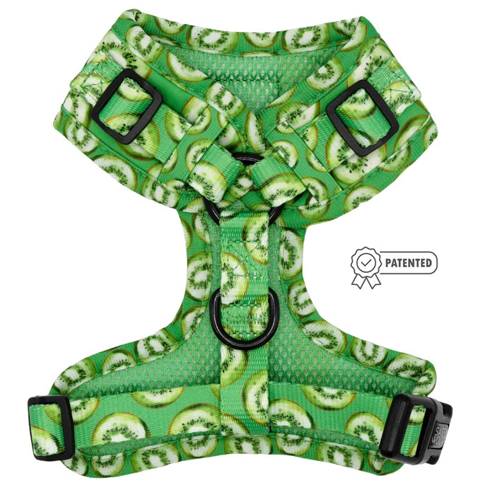 Kiwi Krazy - Modern Dog Adjustable Harness