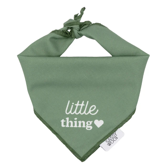 Little Thing - Modern Dog Bandana