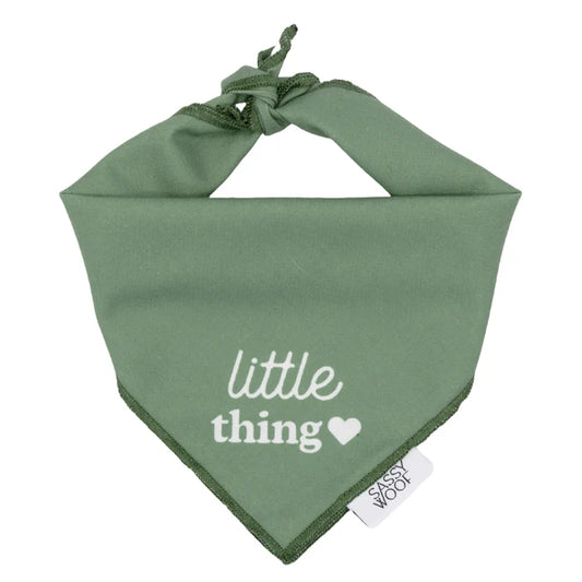 Little Thing - Modern Dog Bandana