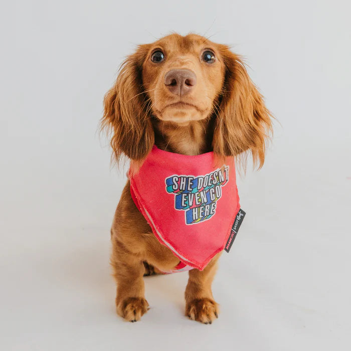 Mean Girls™ She Doesn't Even Go Here - Modern Dog Bandana