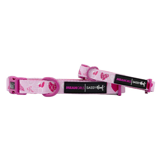 Mean Girls™ - Modern Dog Collar