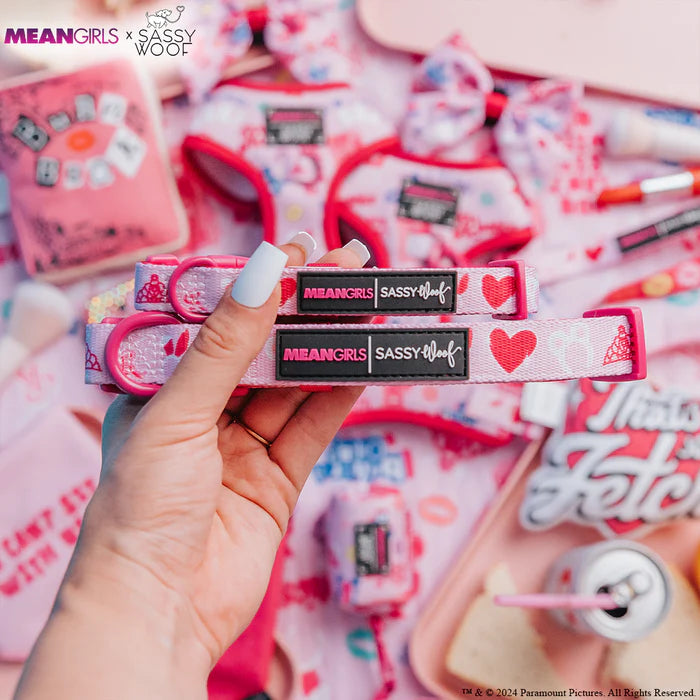 Mean Girls™ - Modern Dog Collar