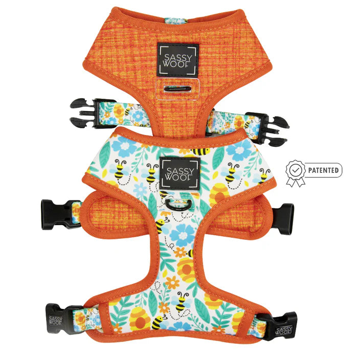 Must Be The Honey - Dog Reversible Harness