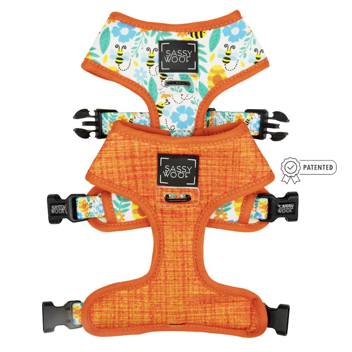 Must Be The Honey - Dog Reversible Harness