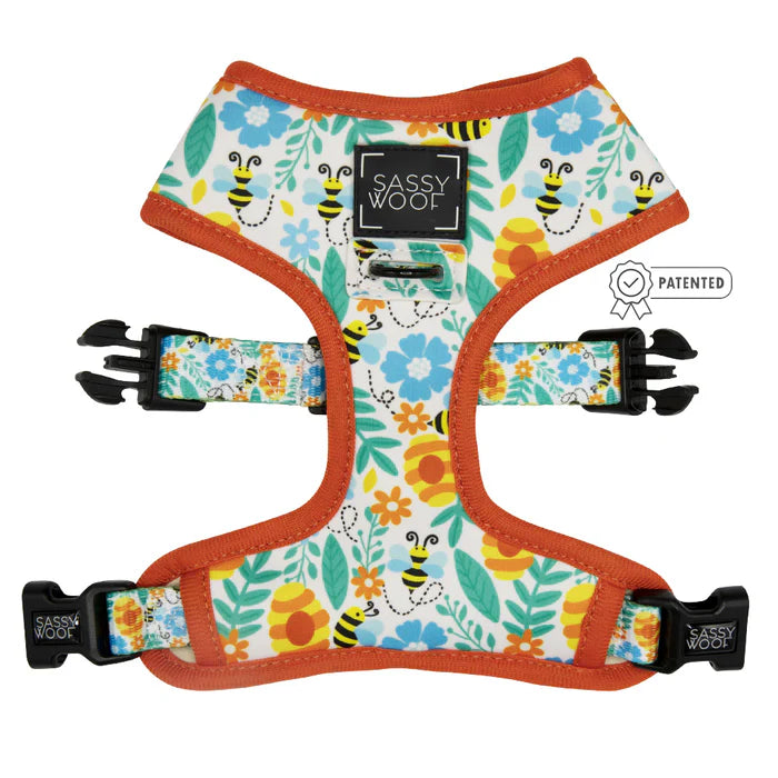 Must Be The Honey - Dog Reversible Harness