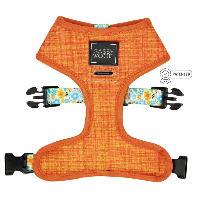 Must Be The Honey - Dog Reversible Harness