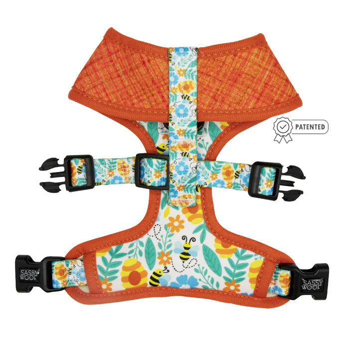 Must Be The Honey - Dog Reversible Harness