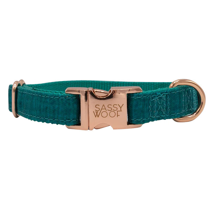 Napa - Modern Dog Collar