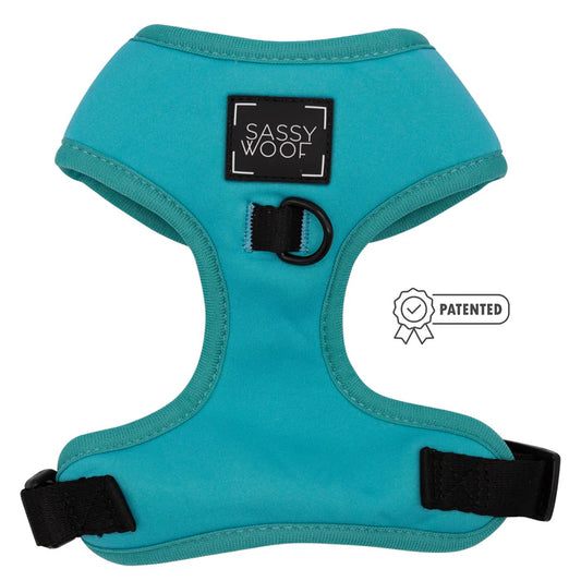 Neon Blue - Modern Dog Adjustable Harness