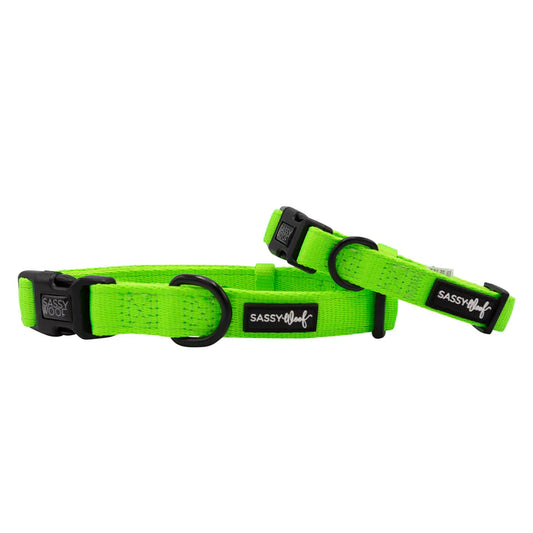 Neon Green - Modern Dog Collar