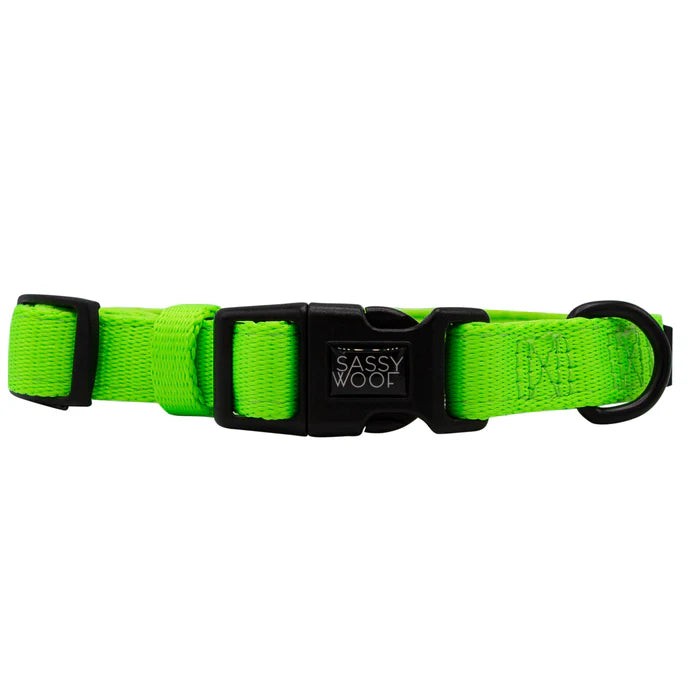 Neon Green - Modern Dog Collar