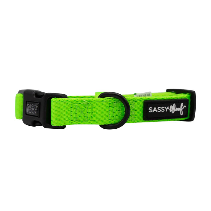 Neon Green - Modern Dog Collar