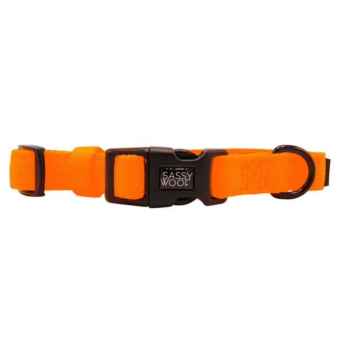 Neon Orange - Modern Dog Collar