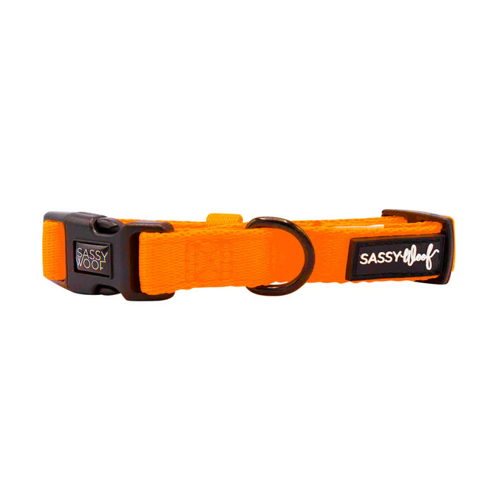 Neon Orange - Modern Dog Collar