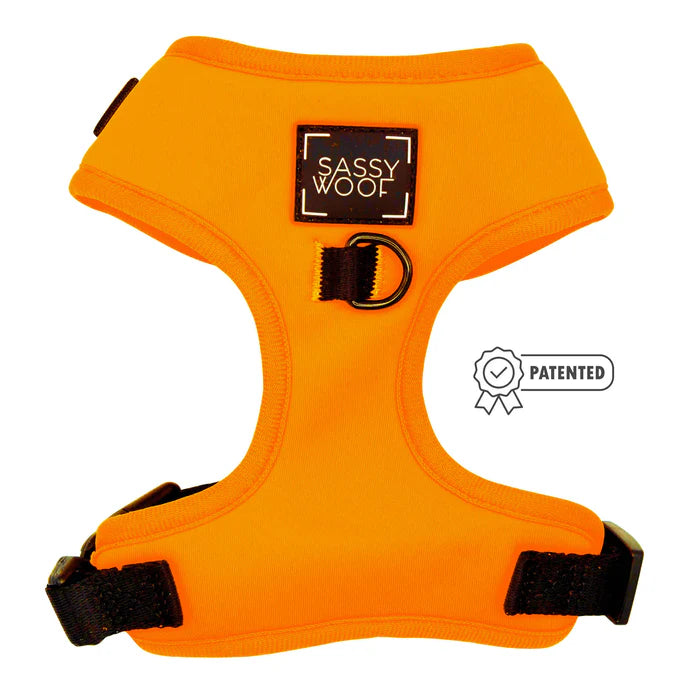 Neon Orange - Modern Dog Adjustable Harness