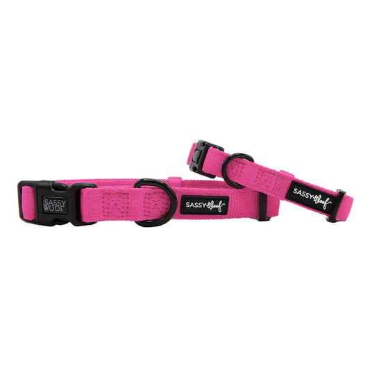 Neon Pink - Modern Dog Collar