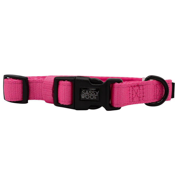 Neon Pink - Modern Dog Collar