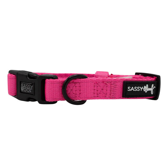 Neon Pink - Modern Dog Collar