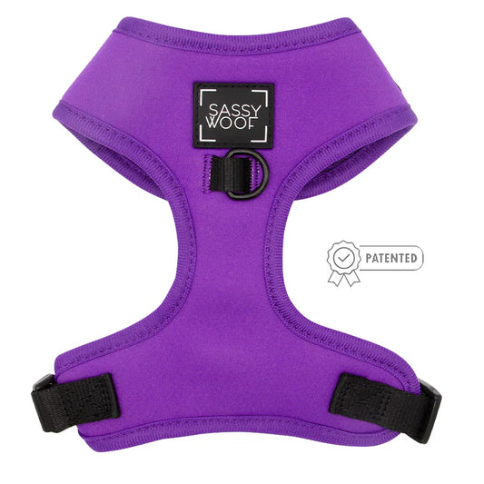 Neon Purple - Modern Dog Adjustable Harness