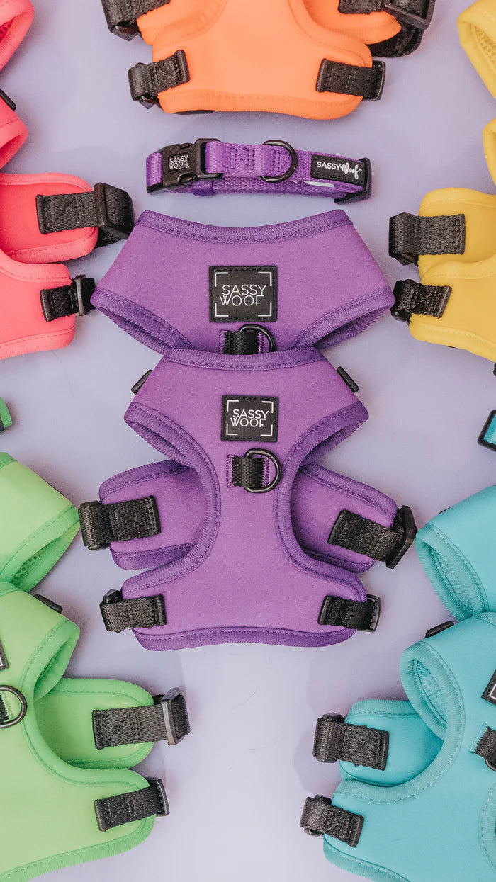 Neon Purple - Modern Dog Adjustable Harness