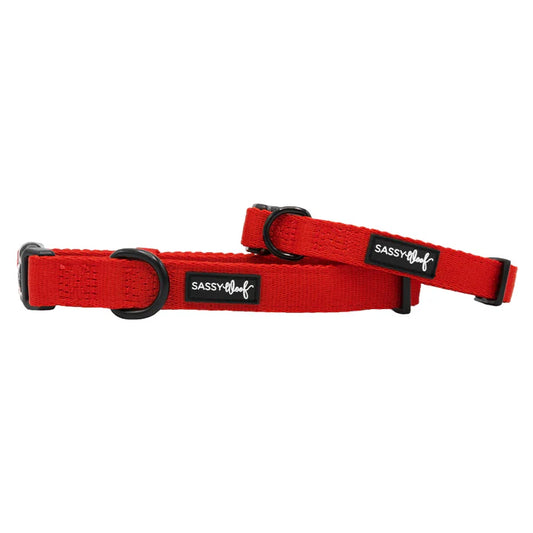 Neon Red - Modern Dog Collar