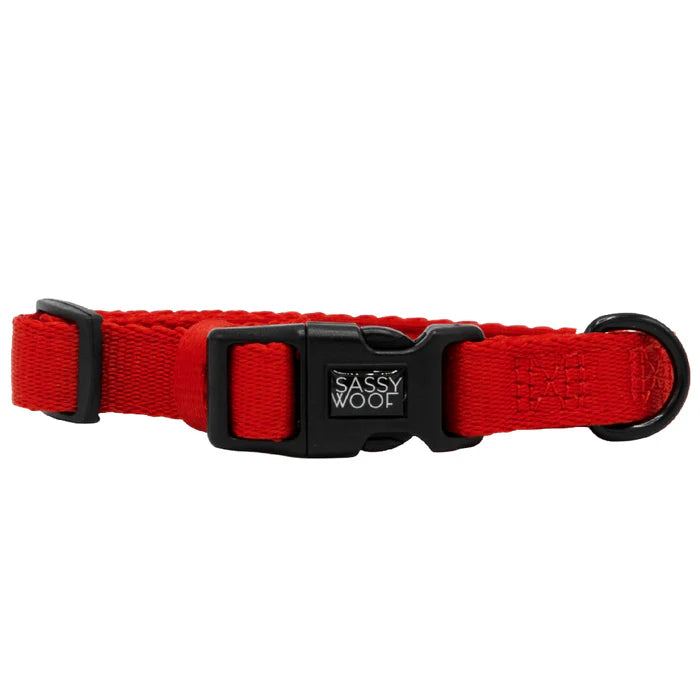 Neon Red - Modern Dog Collar