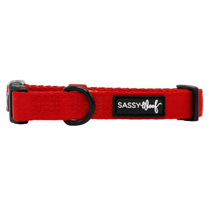 Neon Red - Modern Dog Collar