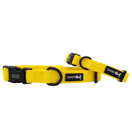 Neon Yellow - Modern Dog Collar