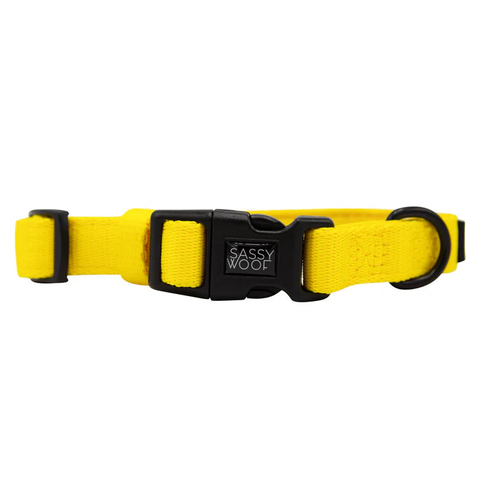 Neon Yellow - Modern Dog Collar