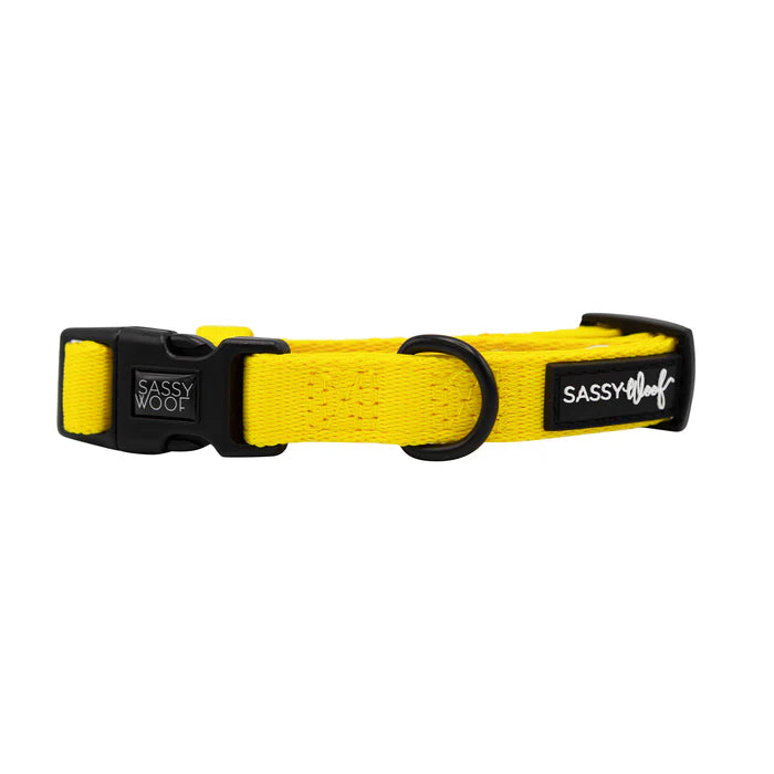 Neon Yellow - Modern Dog Collar