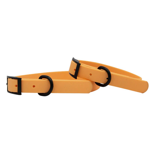 Orange - Modern Waterproof Dog Collar