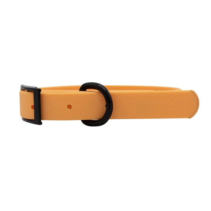 Orange - Modern Waterproof Dog Collar