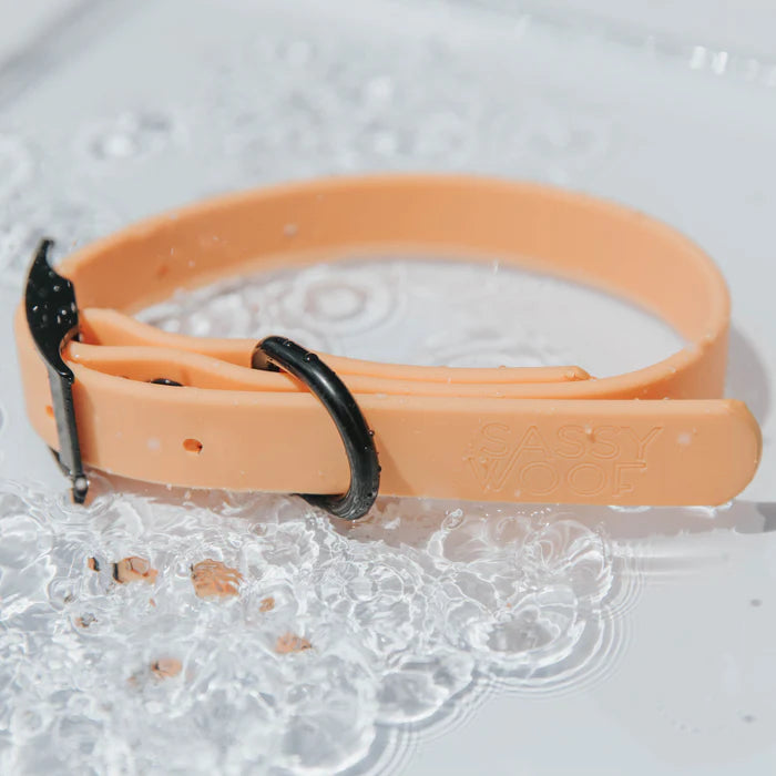 Orange - Modern Waterproof Dog Collar