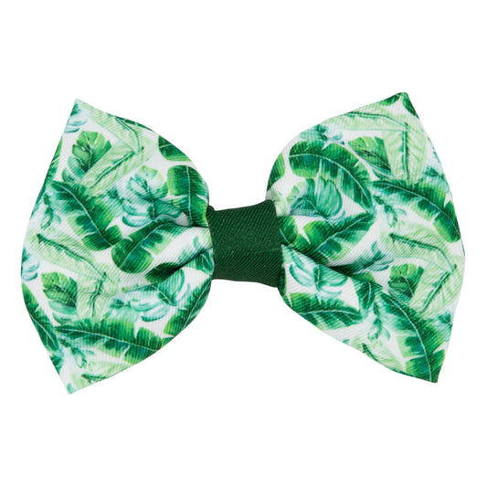 Verano - Modern Dog Bowtie