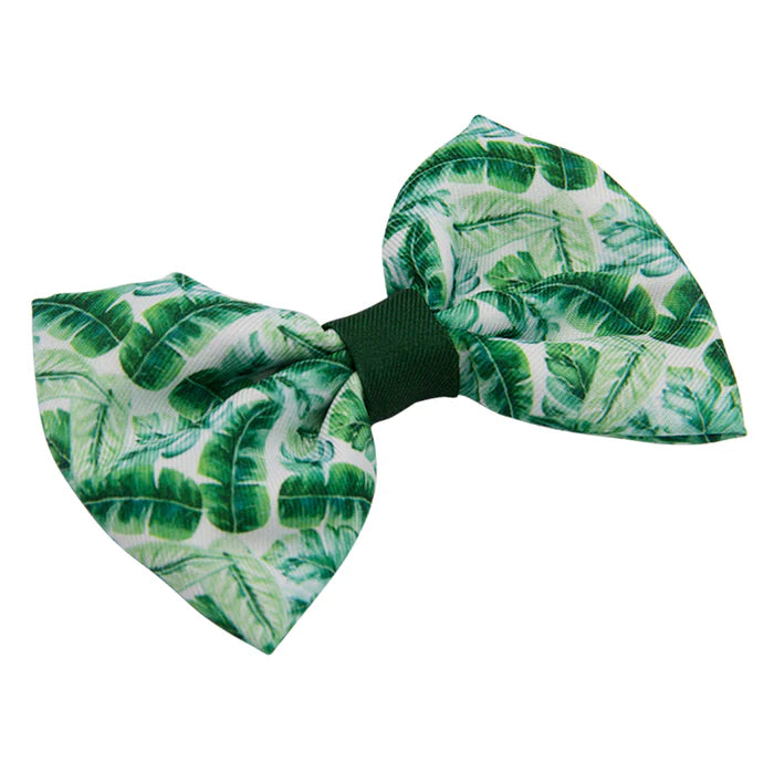 Verano - Modern Dog Bowtie