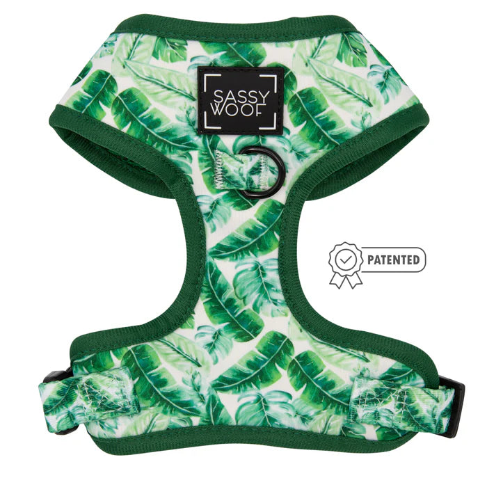 Verano - Modern Dog Adjustable Harness