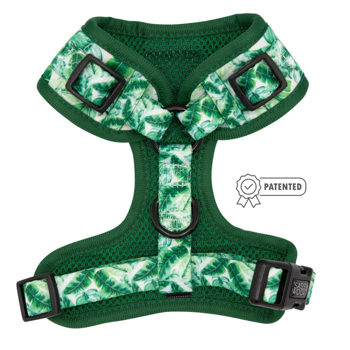 Verano - Modern Dog Adjustable Harness