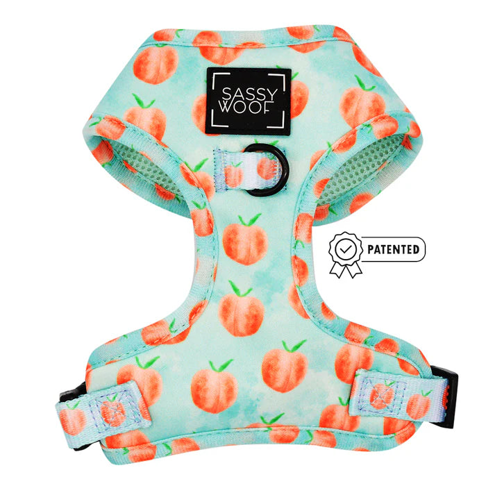 Peach Please - Modern Dog Adjustable Harness