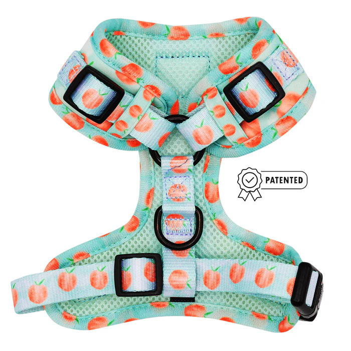 Peach Please - Modern Dog Adjustable Harness