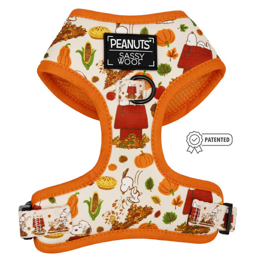 Peanuts™ Harvest - Modern Dog Adjustable Harness