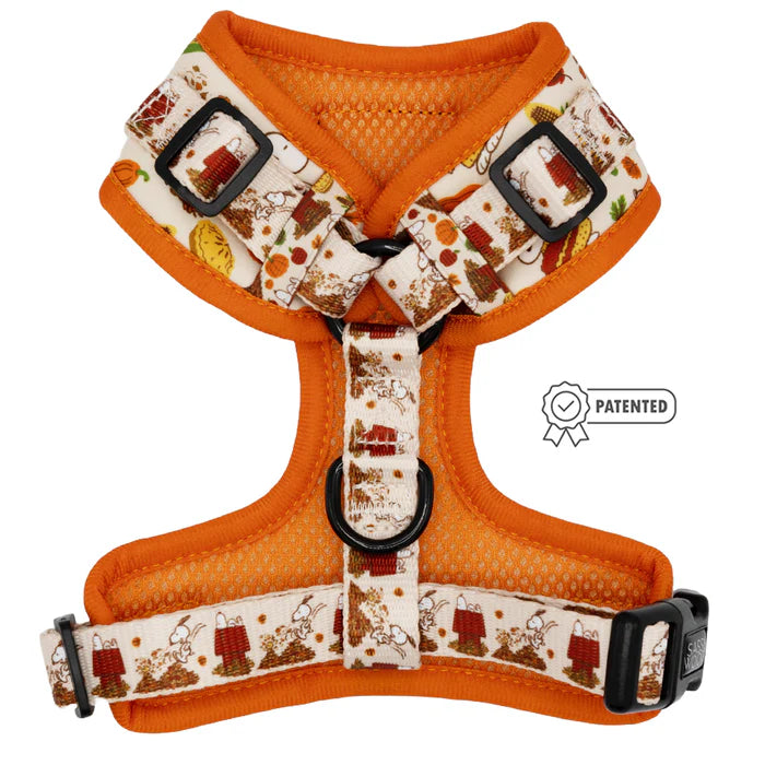 Peanuts™ Harvest - Modern Dog Adjustable Harness